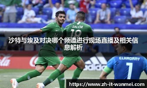 沙特与埃及对决哪个频道进行现场直播及相关信息解析